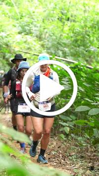 BIB:  <button type="button" onclick="openModal(26823534)" class="btn btn-primary btn-sm float-right" data-toggle="modal" data-target=".modal-high-quality">
                <i class="fa fa-download"></i> Download
                </button>